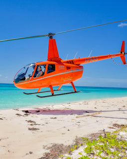 SAONA ISLAND WITH PICNIC BY HELICOPTER